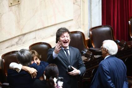 Javier Milei cuando era diputado, antes de asumir la Presidencia