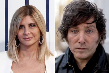 Javier Milei demandó judicialmente a un grupo de periodistas, entre ellos Débora Plager, por "daños y perjuicios"