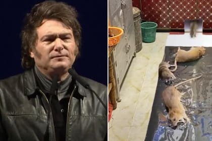 Javier Milei deslizó una nueva crítica hacia el Congreso