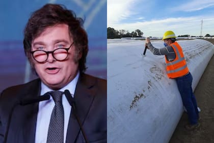 Javier Milei destacó un emprendimiento del agro