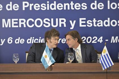 Javier Milei dialoga con el presidente de Uruguay, Luis Lacalle Pou, durante un encuentro del Mercosur