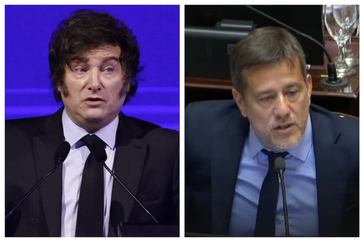 Javier Milei difundió un video editado de Mariano Recalde y el legislador lo cruzó.