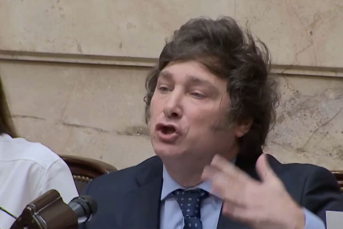 Javier Milei durante el debate del Presupuesto 2023