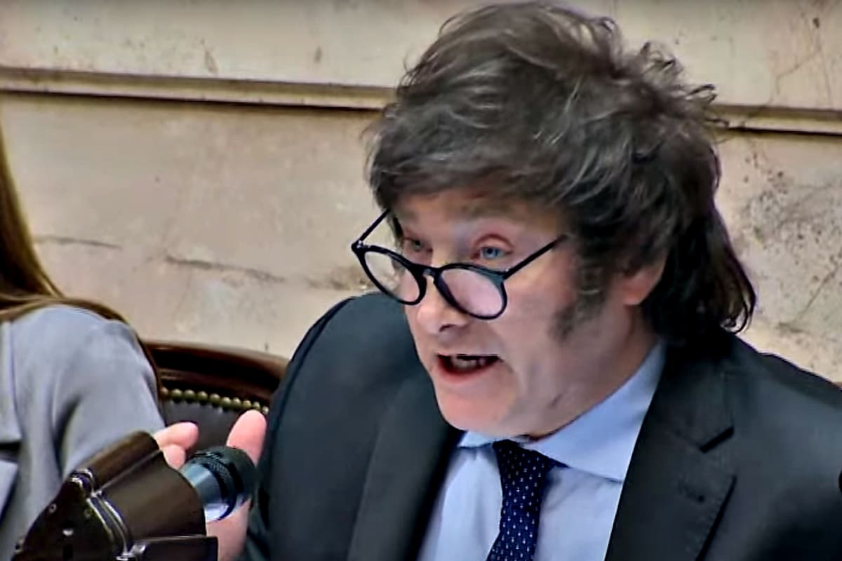 Javier Milei en Diputados