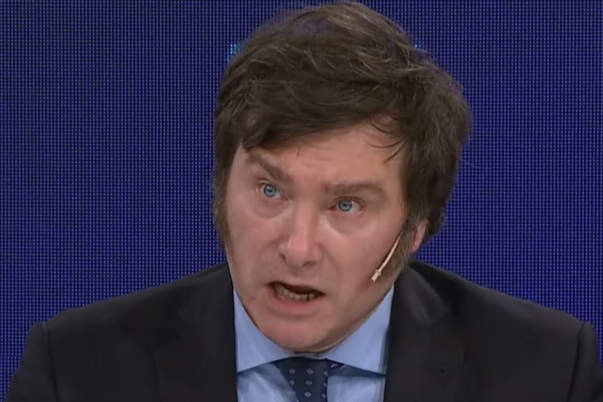 Javier Milei entrevistado en TN