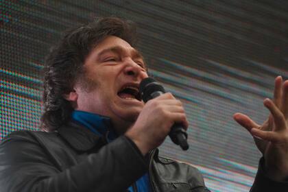 Javier Milei esta tarde en Ezeiza