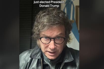 Javier Milei le dedicó un nuevo saludo a Trump en TikTok
