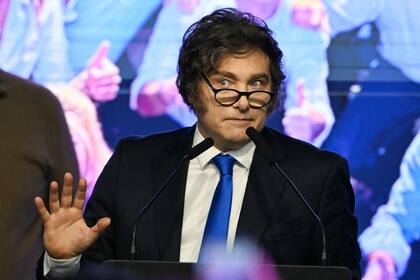 Javier Milei. (Luis ROBAYO / AFP)