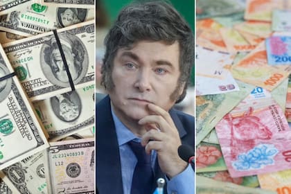 Javier Milei, pesos y dólares