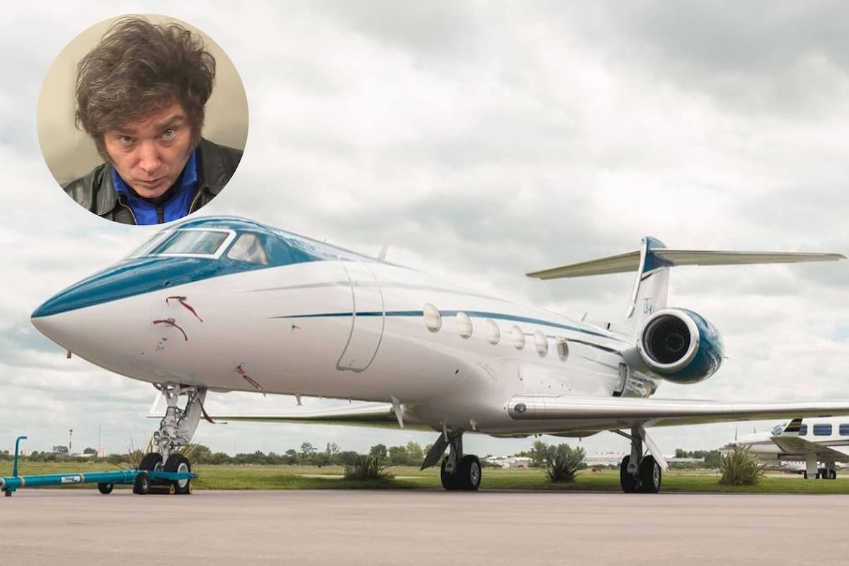 Javier Milei viajó de Buenos Aires a Nueva York en un vuelo privado de 11 horas