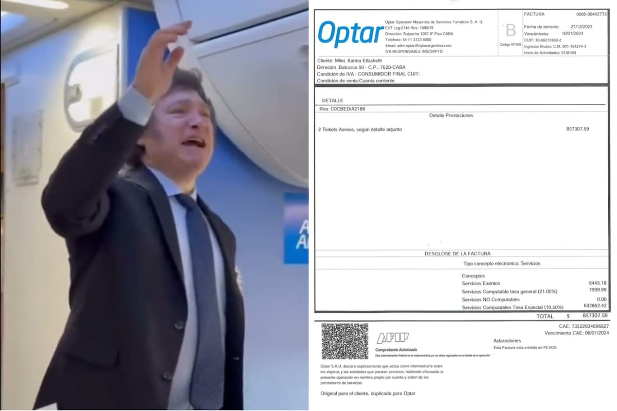 Javier Milei viajó en Aerolíneas Argentinas a Mar del Plata