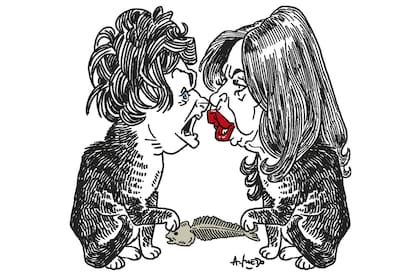 Javier Milei y Cristina Kirchner: cómo dividir a la sociedad