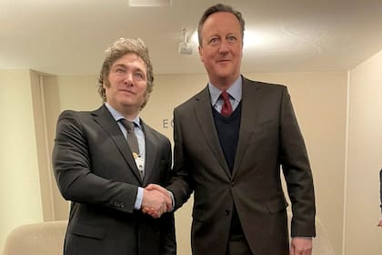 Javier Milei y David Cameron
