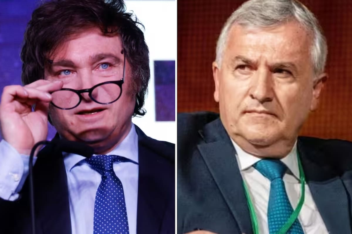 Javier Milei y Gerardo Morales