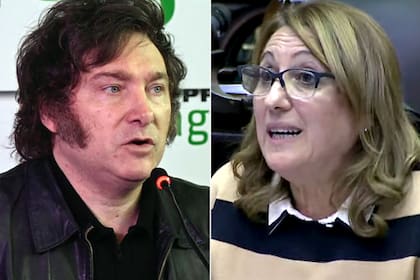 Javier Milei y Mónica Fein