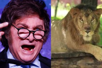 Javier Milei y otro mensaje "a la casta"