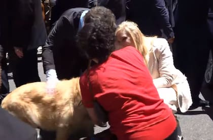 Javier Milei y su hermana se bajaron del auto para acariciar un perro