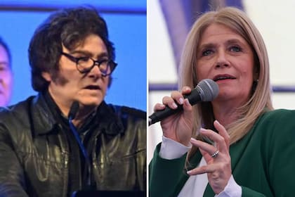 Javier Milei y Verónica Magario