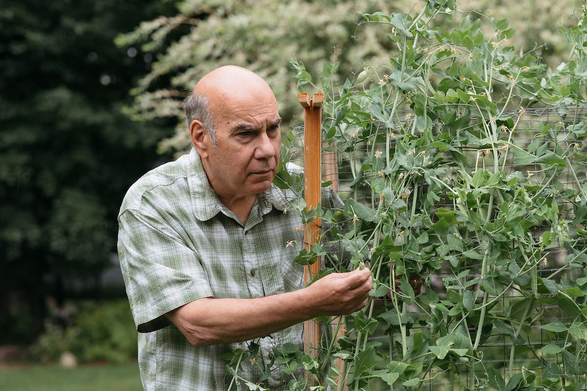 Jay Parini autor de Borges and me