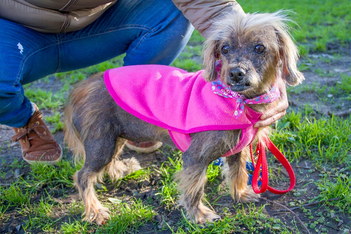 Jazi, del abandono a una vida respetada