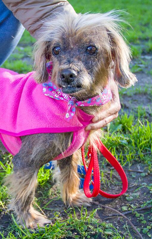 Jazi, del abandono a una vida respetada