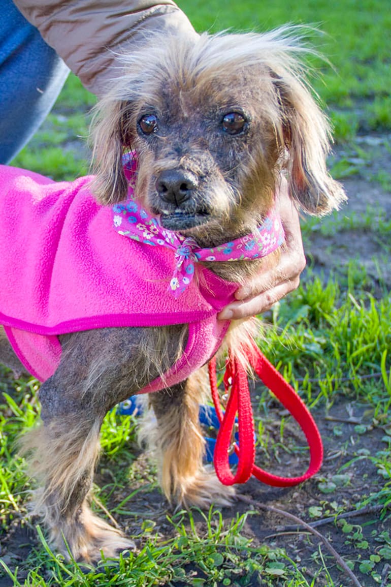 Jazi, del abandono a una vida respetada