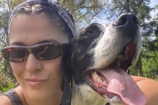 Investigan la intoxicación de dos perros y la muerte de uno de ellos tras pasear por una plaza