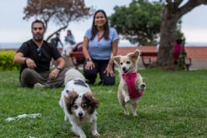 “Mucha gente decide no adoptar un perro viejito o con una necesidad especial porque piensa que es mucho gasto o más preocupación”