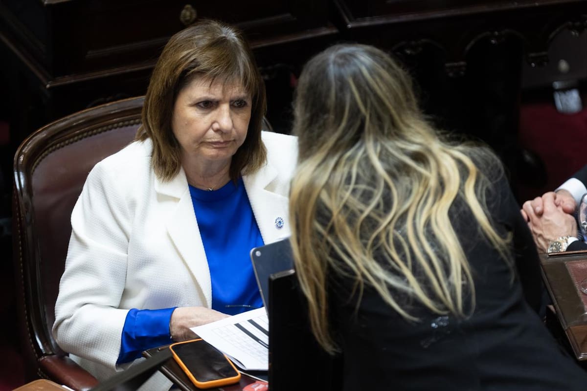 Jefa del bloque de senadores de LLA, Patricia Bullrich