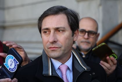 El jefe del bloque de Pro en el Senado, Martín Goerling