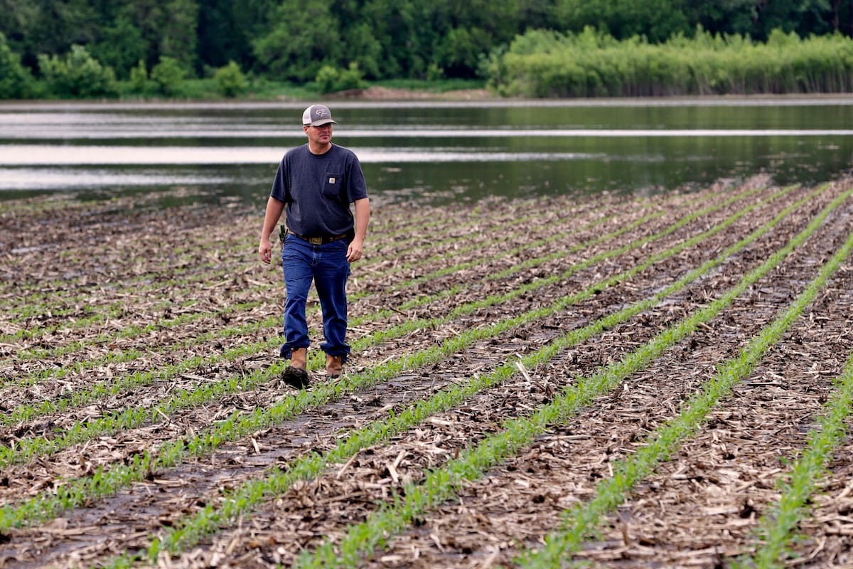Jeff Jorgenson camina en su campo parcialmente inundado que cultiva cerca de Shenandoah, Iowa. Alrededor de una cuarta parte de su tierra se perdió este año debido a las inundaciones del río Missouri, y gran parte de su propiedad restante se inundó con fuertes lluvias y agua del vecino río Nishnabot