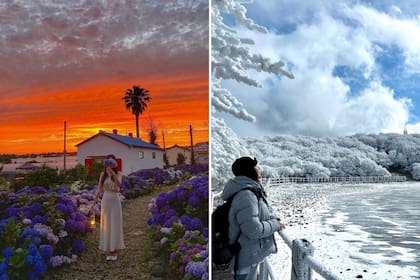 Jeju Island está ubicada en la Provincia de Jeju y es la isla más conocida de Corea del Sur.