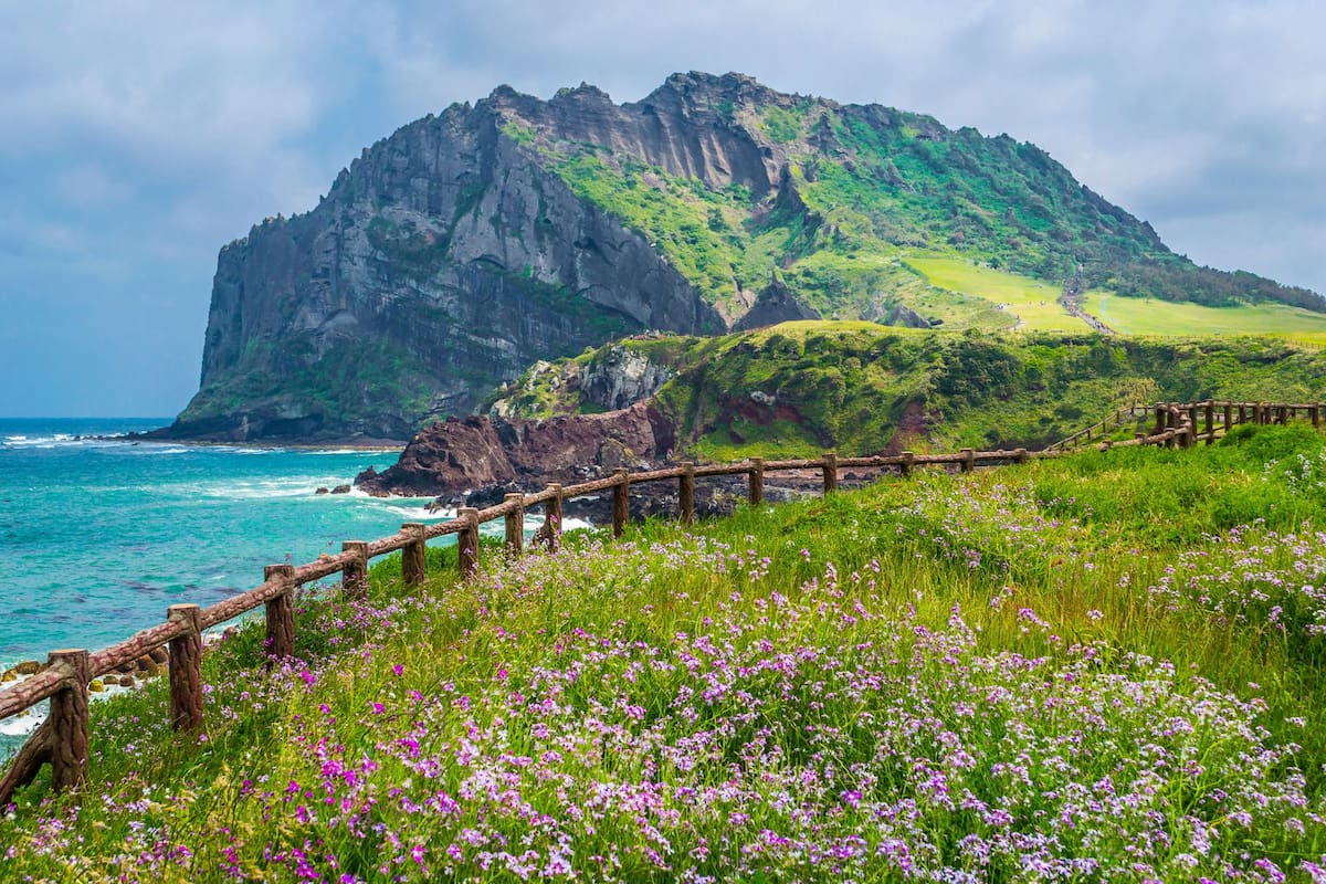 Jeju Island la isla más grande de Corea del Sur y sirvió como locación para cientos de series y películas.