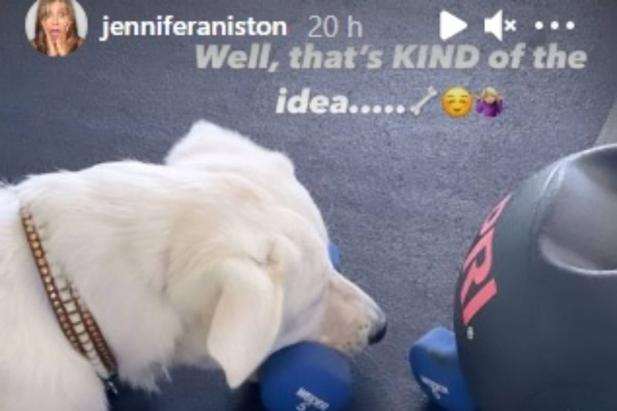 Jennifer Aniston mostró a su nuevo compañero de entrenamiento: su perro. Captura Instagram.