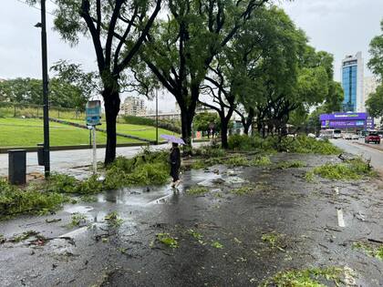 Jésica limpió una parte de la avenida Intendente Bullrich esta mañana.
