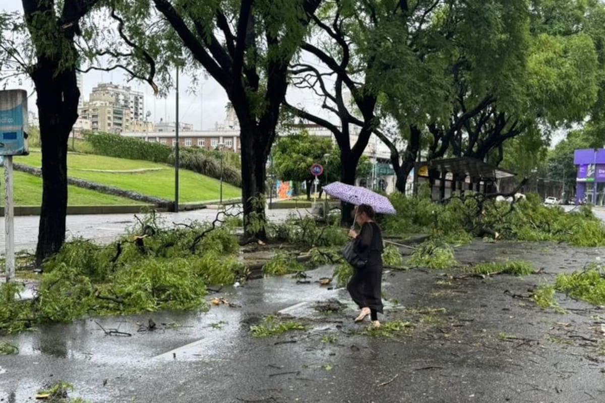 Jésica limpió una parte de la avenida Intendente Bullrich esta mañana
