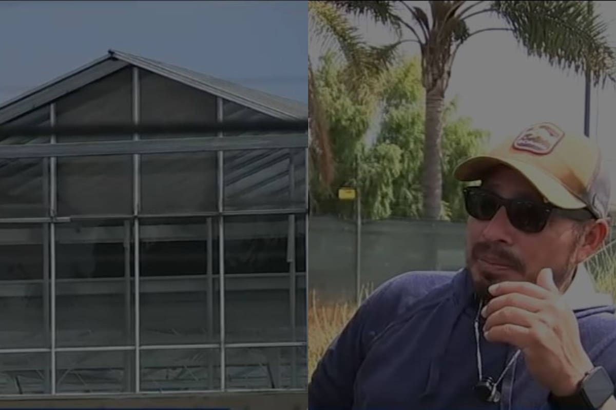 Jesús Vázquez se escondió durante 15 horas en un invernadero de cristal, para escapar del ICE