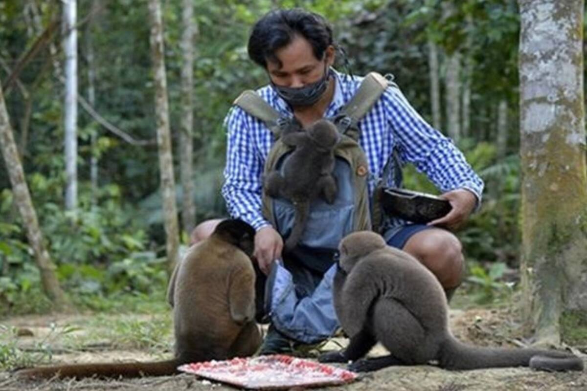 Jhon Jairo Vásquez se dedica a rescatar y rehabilitar primate que son cazados en la Amazonía Colombiana