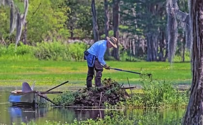 Jim Stevenson mientras retira plantas invasoras de los humedales