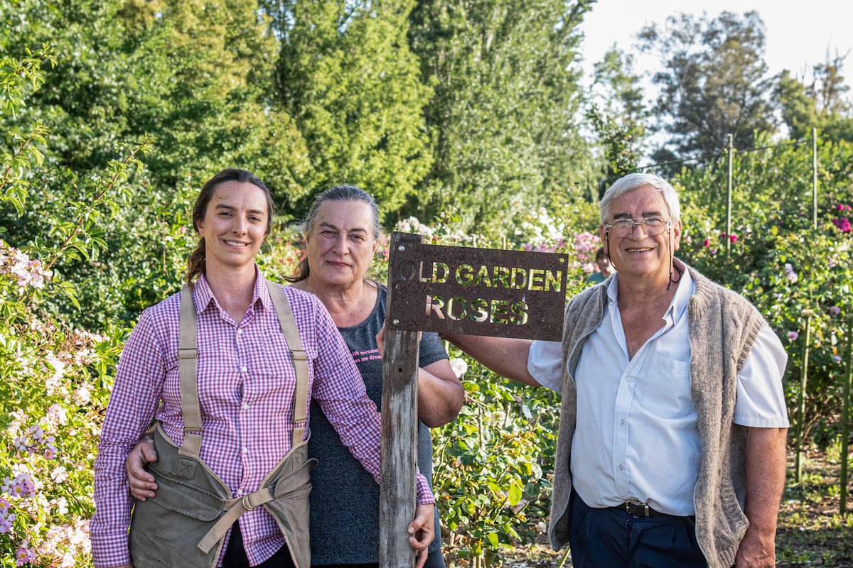 Jimena, Teresa y Enrique en el jardín de rosas antiguas
