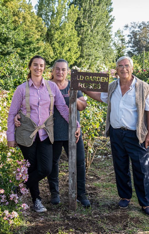 Jimena, Teresa y Enrique en el jardín de rosas antiguas