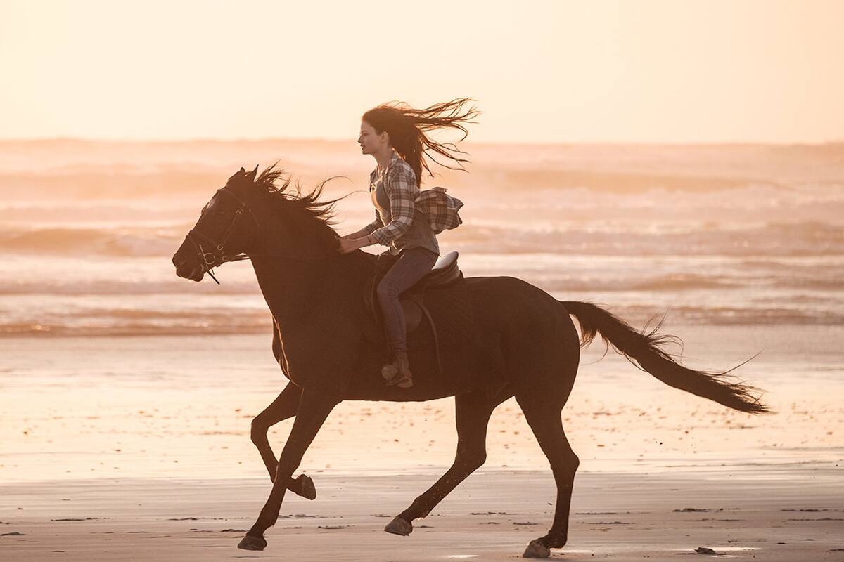 Jo (Mackenzie Foy) y Belleza Negra