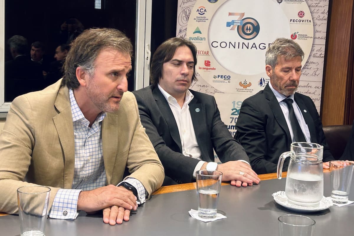 Joaquín Benegas Lynch, Lucas Magnano y Martín Ardohain