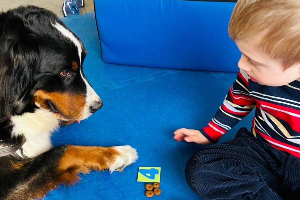 Joaquín en plena intervención con un perrito.