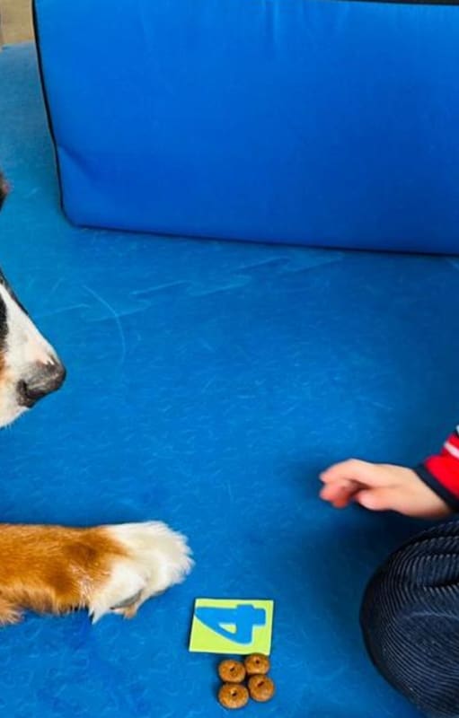 Joaquín en plena intervención con un perrito.