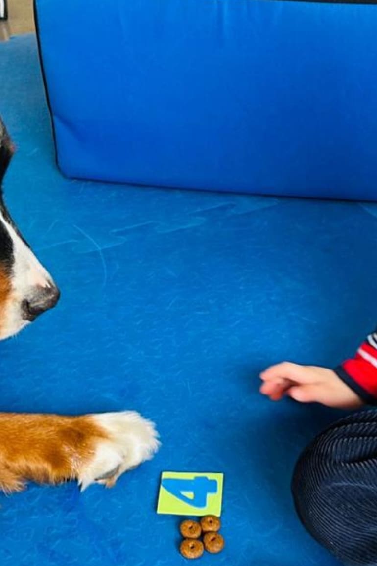 Joaquín en plena intervención con un perrito.