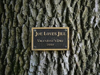 "Joe ama a Jill", uno de los regalos de Biden para su esposa
