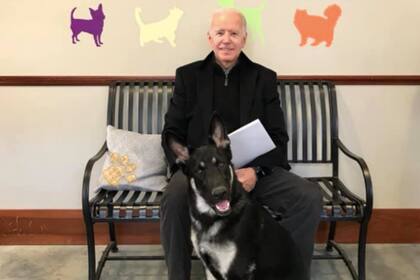 Joe Biden junto a su perro "Major" en el día de su adopción (Facebook)