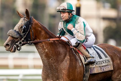 Joe Bravo con Blue Prize; la Argentina ganó 4 de las 36 versiones de la Breeders Cup