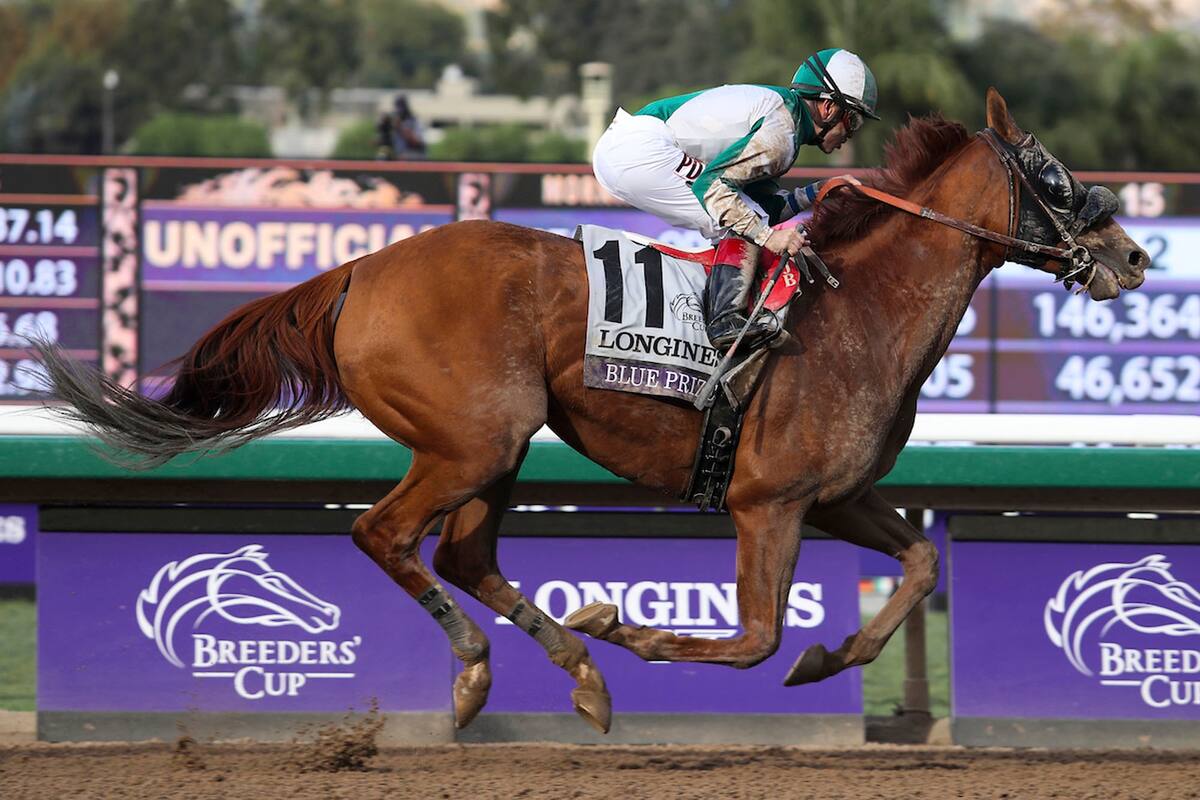 Joe Bravo está por comenzar a festejar con Blue Prize; la Argentina ganó 4 de las 36 versiones del clásico